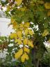 p9160059_resize.jpg