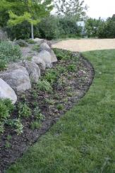 _mg_1502.JPG