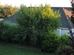 img_0846.JPG
