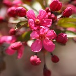 img_1271